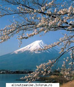 Galerie - si a cincea mai am dar am foarte multe si nu pot - Japonia