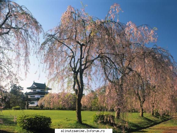 Galerie - imi place poza asta - Japonia