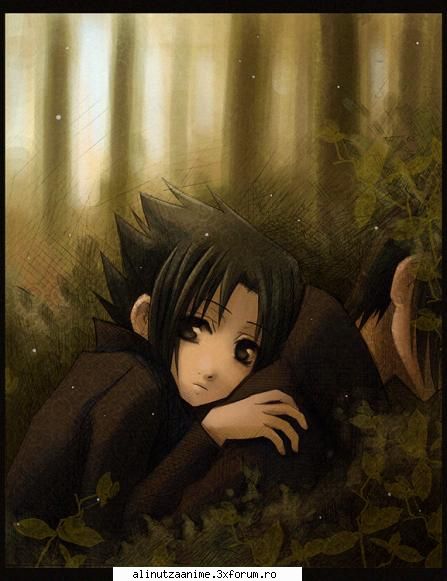 o3 saske